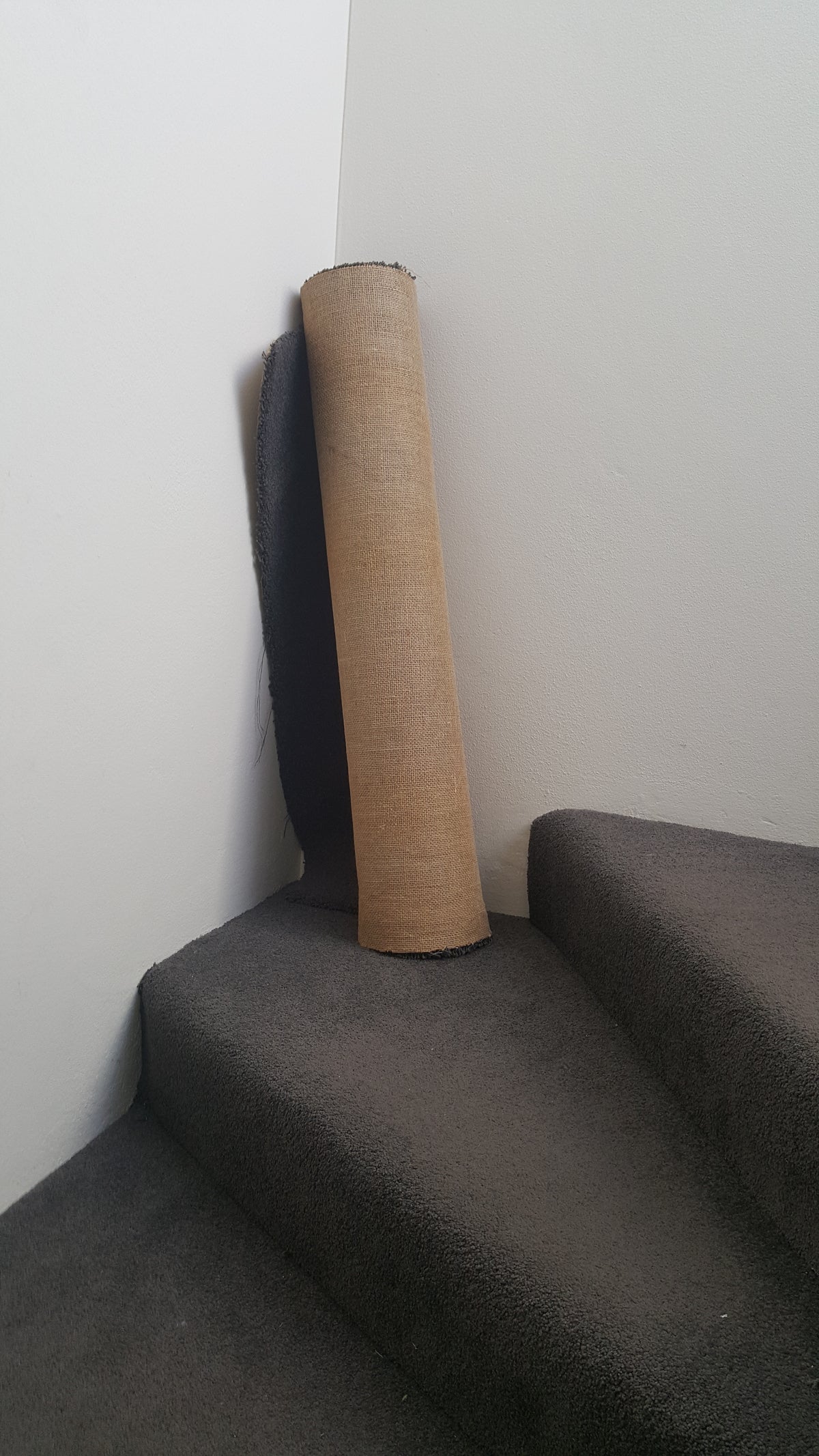 Teppich Poster Braun