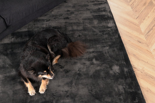 Indra Rechteckiger Teppich 240 x 170 Dunkelgrau