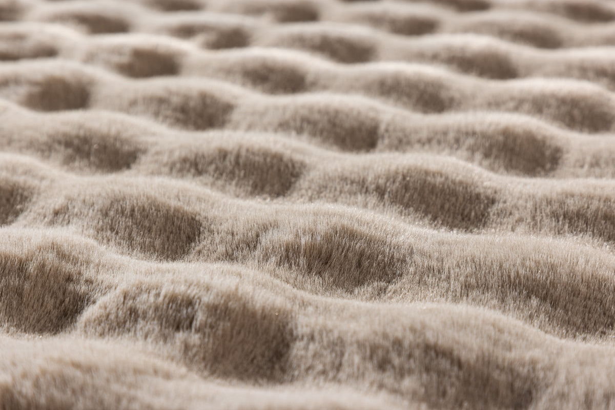 Novis Rechteckiger Teppich 290 x 200 Beige