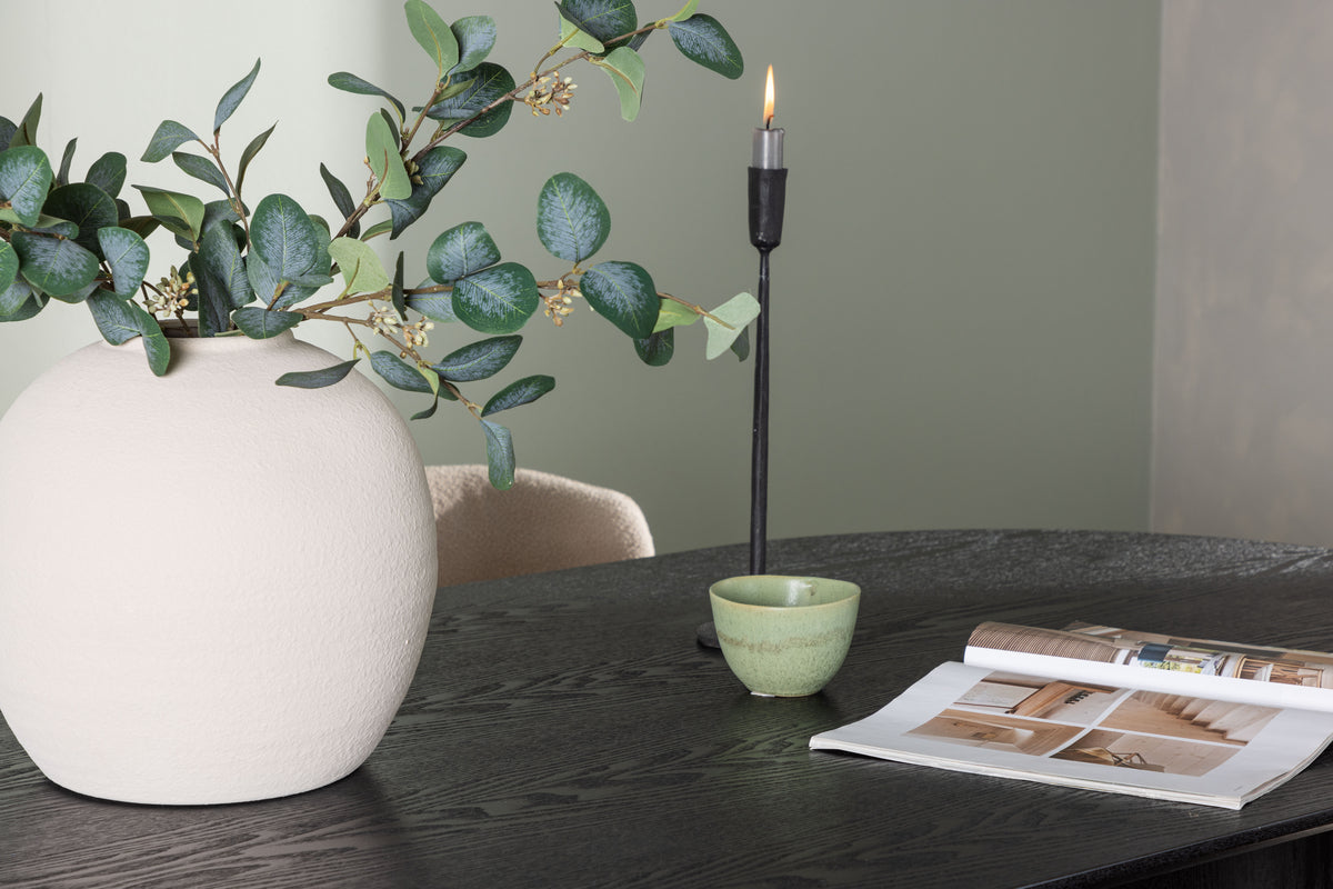 Modesto & Isolde Esszimmerstuhl 2er-Set Beige + Ovaler Esstisch 180 x 90 Schwarz