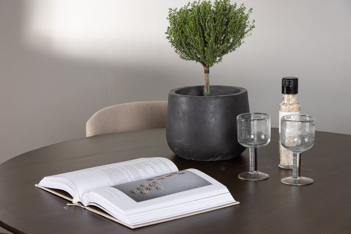 Modesto & Kaseidon Esszimmerstuhl 2er-Pack Beige + Runder Esstisch 100 cm Dunkelbraun